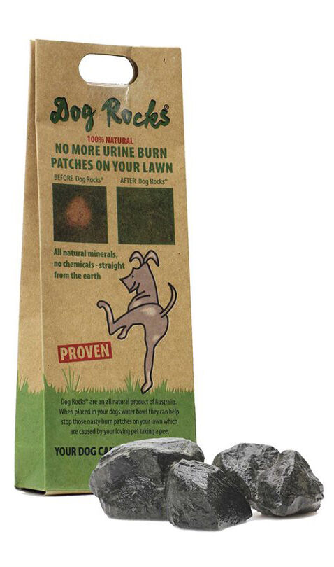 SR8 Podium Pet Products.jpg